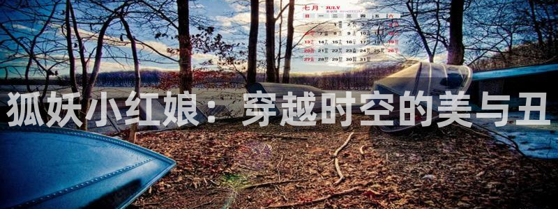 51漫画app下载安卓版：狐妖小红娘：穿越时空的美与丑